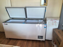 志高（Chigo）398升冰柜家用大容量 臥式單溫保鮮冰箱 大冰柜商用全冷凍 一級能效 BD/BC-398D 曬單實拍圖