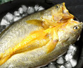 黃小漁寧德三去黃花魚600g/4條大黃魚生鮮海鮮水產(chǎn)深海魚類夜宵燒烤食材 曬單實拍圖