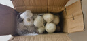2025云南紫皮獨蒜 新鮮獨頭大蒜 新蒜 獨蒜頭 大果精品大理干蒜 3.5-4cm1斤【凈重】大果 曬單實(shí)拍圖