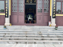 天祥緣 銅獅子擺件一對北京獅宮門獅居家客廳開業(yè)禮品辦公桌裝飾擺件 10號銅獅子一對 曬單實拍圖