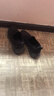 斯凱奇（Skechers）七夕禮物送男友男鞋一腳蹬健步鞋舒適透氣休閑鞋216325 全黑色/BBK 41 曬單實拍圖