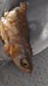 農(nóng)家火焙小魚干干貨小魚仔淡水無鹽去肚餐條魚小河魚湖南特產(chǎn)新貨 淡水小魚干100g*5袋 曬單實拍圖