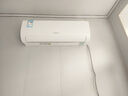 海信（Hisense）大1匹/1.5匹 【國(guó)補(bǔ)20%】 易省電 AI省電 新一級(jí) 空調(diào)掛機(jī) 大風(fēng)量速冷暖變頻防直吹臥室壁掛式空調(diào) 1.5匹 一級(jí)能效 新品 熱銷爆款151U 曬單實(shí)拍圖