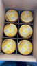 飛鶴星飛帆卓睿嬰兒配方奶粉2段(6-12月) 750g*6【28天新鮮】育兒補貼 曬單實拍圖