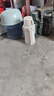 恩爾美（nRMEi）保溫壺杯大容量316不銹鋼戶外旅行壺暖水壺便攜車載旅行保溫水壺 奶黃米 3L [6斤水+背帶+茶倉] 升級(jí)抗菌316內(nèi)膽丨杯蓋可喝水 曬單實(shí)拍圖