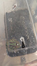 REPTIZOO角蛙泥角蛙墊材角蛙飼養(yǎng)土天然造景無異味 天然角蛙泥【600g】 曬單實(shí)拍圖