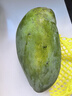 三亞芒果  海南芒果新鮮水果生鮮整箱當(dāng)季大青皮芒 熱帶孕婦芒果 10斤裝(凈果8.5-9斤)單果300g+ 曬單實(shí)拍圖