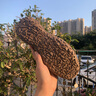 Jeep吉普男鞋2025夏季新款真皮透氣休閑運動鞋男戶外登山防滑潮鞋子男 卡其色(運動碼） 41 (255mm) 曬單實拍圖