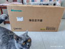 海信34英寸帶魚(yú)屏 200Hz高刷 1000R曲率 廣色域 HDR400 WQHD 曲面電競(jìng)顯示屏 顯示器 34G6K 曬單實(shí)拍圖