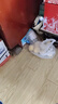 胡同坊 紅標北京二鍋頭 清香型白酒 42度 500ml*12瓶 整箱裝 口糧自飲 曬單實拍圖