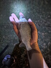 喜馬羅咬鉤一目變色夜光漂恒亮高靈敏浮漂夜光魚(yú)漂日夜兩用硬尾電子漂 GM02  鉛約2.1g 長(cháng)約44.5cm 5目亮 一目變紅1支 帶5粒322電池 曬單實(shí)拍圖