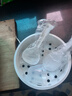 蘇泊爾（SUPOR） 電飯煲電飯鍋微壓5L大容量4-5-10人電飯鍋家用多功能一體藍鉆球釜柴火飯智能預約多功能電飯煲 藍鉆 5L 曬單實拍圖