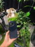 功崇【昆侖冰晶】適用華為pura80pro手機(jī)殼冰晶鏡面玻璃保護(hù)套pura80鏡頭全包防摔散熱Pro/+男女情侶 pura80pro/+【淡青色】昆侖防摔丨鏡頭全包 2025新研發(fā) | 高奢冰晶 曬單實(shí)拍圖