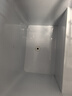 榮事達（Royalstar）小冰柜家用小型冷凍保鮮迷你冷藏商用臥式冷柜單用儲母乳柜節(jié)能省電 【萬人推薦 一級節(jié)能】單溫 58L 曬單實拍圖