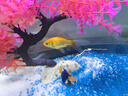 魚缸燈led燈防水超亮全光譜三色小水族箱潛水專用彩燈燈管 18W三色變光74cm（80-90cm缸用） 曬單實(shí)拍圖