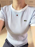 LACOSTE法國鱷魚(yú)女裝25春夏新款拼色純棉修身舒適短袖T恤|TF2432 EB6/淺藍色/白色拼色 S 36 曬單實(shí)拍圖