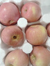 甜醉了 煙臺(tái)蘋果棲霞紅富士新鮮水果生鮮山東特產(chǎn)脆甜整箱平果禮盒禮品 凈重5斤 大果75-80mm 曬單實(shí)拍圖