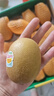 佳沛（zespri）新西蘭 陽光金奇異果12粒禮盒特大果單果約122-146g 獼猴桃 水果 曬單實拍圖