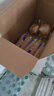 三只松鼠全麥椰香紅豆卷1000g 全麥面包吐司小蛋糕早餐休閑零食糕點(diǎn)點(diǎn)心 曬單實(shí)拍圖