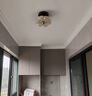 中古風(fēng)走廊過(guò)道玄關(guān)入戶燈輕奢水晶砂護(hù)眼高級(jí)感創(chuàng)意花朵衣帽間燈 胡桃色-直徑17厘米-三色變光 曬單實(shí)拍圖