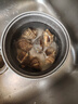瑞陽(yáng)水產(chǎn)丹東東港鮮活大香螺大海螺生蠔鮑魚海螺扇貝特大野生螺 大海螺 一斤 6-8只 曬單實(shí)拍圖