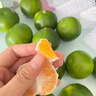 云南高山青皮蜜桔橘子 新鮮水果皮薄小蜜橘桔子整箱新鮮孕婦水果 9斤帶箱【凈重8.5斤】 單果 50g+ 曬單實拍圖