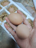 京喜加土雞蛋 新鮮雞蛋山林自養(yǎng) 生鮮溏心蛋 鹵蛋早餐京東買菜40g正負(fù)5g 10枚裝總重400g+ 曬單實(shí)拍圖