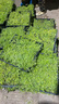 上客來(lái)姬巖垂草金莎曼過(guò)路黃佛甲草麥冬草方盤(pán)植物地被開(kāi)花草坪花鏡植物 黃金佛甲草 1盤(pán) 曬單實(shí)拍圖