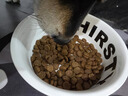 愛肯拿（ACANA）狗糧 鴨肉梨成犬低敏去淚痕全價通用原裝進(jìn)口糧11.4kg效期25/12 曬單實拍圖