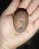 大海邊 陶粒衛(wèi)生間廁所回填陶?；靥铌柵_(tái)找平輕質(zhì)建筑裝修材料防水防潮 0.7立方【21袋】吸水防潮 曬單實(shí)拍圖