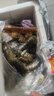 澳洲鮮活小龍蝦超大特大淡水養(yǎng)殖清水藍(lán)龍蝦一兩以上（干凈免刷） 2兩5斤裝（一斤大概4-5只） 曬單實(shí)拍圖