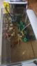 森森（SUNSUN）魚缸過濾器壁掛式過濾泵水族箱烏龜缸三合一過濾設(shè)備 HBL-302 3W（適合20-50cm缸） 曬單實拍圖