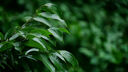 騰龍（Tamron）B061X 18-300mm F/3.5-6.3 VC VXD防抖 騰龍18300遠(yuǎn)攝大變焦微單鏡頭 騰龍18-300人像旅游體育風(fēng)光 富士X卡口 官方標(biāo)配【主圖贈品】 曬單實拍圖
