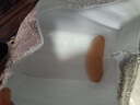 昌雙食品新鮮大號雞翅中 燒烤食材早餐空氣炸鍋食材奧爾良非出口 單凍雞翅中4斤【0%-10%冰】 曬單實(shí)拍圖