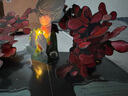 磨鐵圖書小王子 抖音同款 新年禮物 情人節(jié)告白禮物七夕禮物 磨鐵青春文學(xué) 系列熱銷 經(jīng)典外國作品 給大人看的童話 治愈溫馨 單本包郵 全2冊 小王子 官方授權(quán)藝術(shù)家80周年版 曬單實拍圖