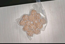 京東京造純牛肉丸250g*4 牛肉含量90% 潮汕火鍋食材丸料關(guān)東煮麻辣燙燒烤 曬單實(shí)拍圖