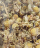 佰草令洋甘菊70g洋甘菊花茶小干花散裝花泡水喝罐裝茶包新貨干貨 曬單實(shí)拍圖