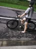 鳳凰上海鳳凰山地車自行車男士女式學(xué)生成人變速寬胎越野公路賽單車 【鋼架/全套競速軸承】條輪消灰 26寸24速【建議身高158-188cm】 曬單實拍圖