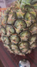 云南黑鉆鳳梨手撕黑鳳梨無眼非菠蘿新鮮水果酸甜可口現(xiàn)摘現(xiàn)發(fā) 凈重4.5斤單果1.3斤起 曬單實(shí)拍圖