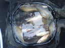 鉑盛 橋釣支架炮臺萬(wàn)向魚(yú)竿架多功能船釣全金屬架桿器筏釣傘架釣魚(yú)具 23CM夾距+餌盤(pán)架 曬單實(shí)拍圖