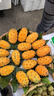 圃美多切件泡菜1.2kg/罐  韓國(guó)醬料 辣白菜 咸菜 下飯菜 曬單實(shí)拍圖
