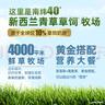 紐仕蘭草飼3.5g蛋白高鈣全脂純牛奶100%生牛乳250ml*24盒新西蘭原裝進(jìn)口 曬單實(shí)拍圖