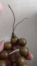穆百年綠檀木手串 男女款檀香木佛珠念珠文玩手鏈 20mm 曬單實拍圖