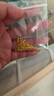 喜上眉梢【喜上眉梢】999足金蹦迪鐳射散珠黃金3D硬金超閃足球珠圣誕禮物 1.2g 2mm新版蹦迪珠多顆 曬單實(shí)拍圖