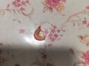 北海灣 正宗深海南極磷蝦 500g新鮮即食海米紅皮蝦米蝦干干貨 500g凈重 曬單實(shí)拍圖