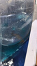 【龍晴?鴻運(yùn)】冷水魚(yú)魚(yú)苗幼苗小金魚(yú)鴻運(yùn)當(dāng)頭獅子頭好養(yǎng)耐活小型金魚(yú)龍睛金魚(yú)大眼 龍睛+鴻運(yùn)紅獅隨機(jī)6條【不可備注顏色】 4-6厘米【靈動(dòng)好看】 曬單實(shí)拍圖