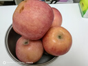甜醉了 煙臺蘋果棲霞紅富士新鮮水果生鮮山東特產(chǎn)脆甜整箱平果禮盒禮品 凈重5斤 大果75-80mm 曬單實拍圖
