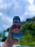 漢源花椒啤酵母整箱6罐/12罐精釀500ml櫻桃果味比利時風格四川 花椒+車厘子 共6罐 曬單實拍圖