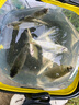 漁之源怪獸無結(jié)主線組成品綁好進(jìn)口魚線套裝全套線組拉力強(qiáng)釣魚魚鉤配件 4.5米【強(qiáng)力無結(jié) 拉力增強(qiáng)35%】 1.5號(hào)（三個(gè)裝） 曬單實(shí)拍圖