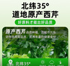 養(yǎng)益君NFC西芹汁原漿鮮榨芹菜汁0蔗糖0脂肪蔬菜汁600ml 曬單實拍圖
